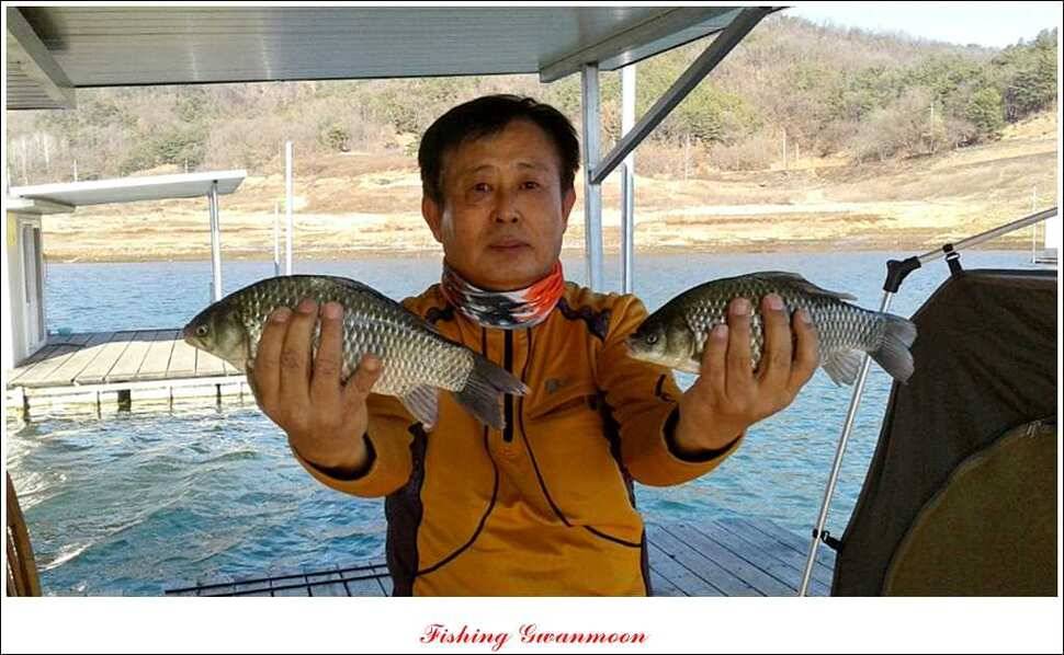 실리곡한버들 제일 월척 (조황조행기 - 특파원조황)