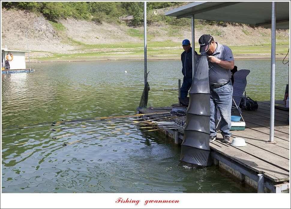 한버들실리곡 월척 행진저수지 사짜 (조황조행기 - 특파원조황)