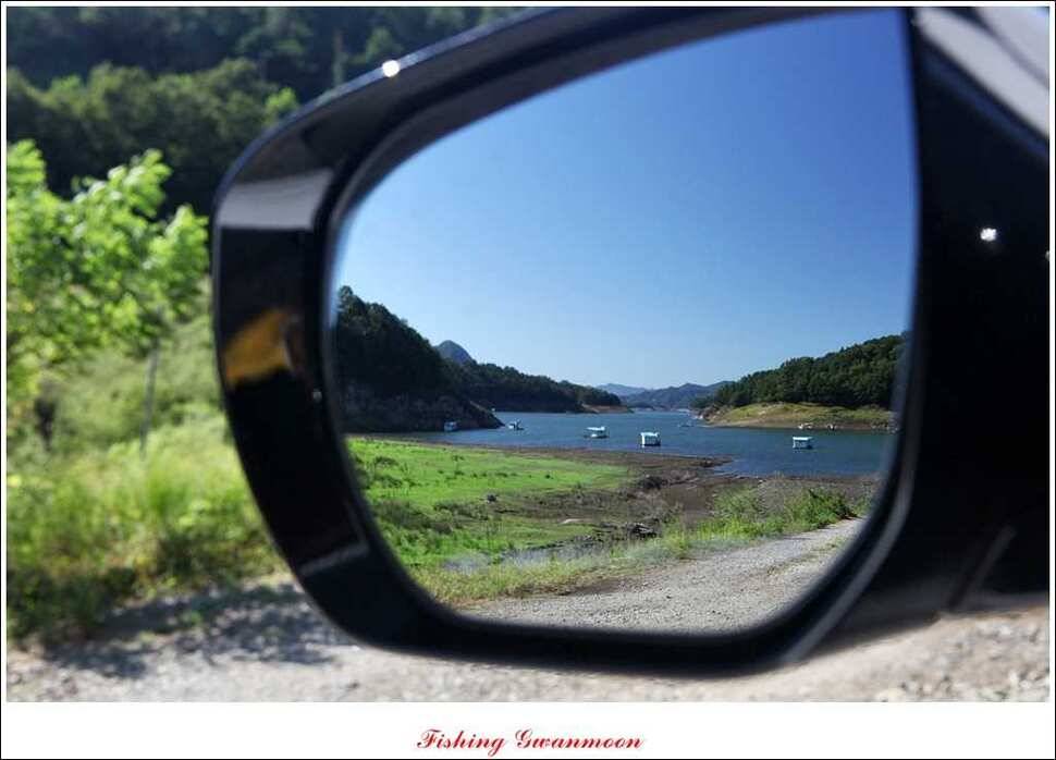 신매 사짜한버들 월척윤 장어 조황 (조황조행기 - 특파원조황)