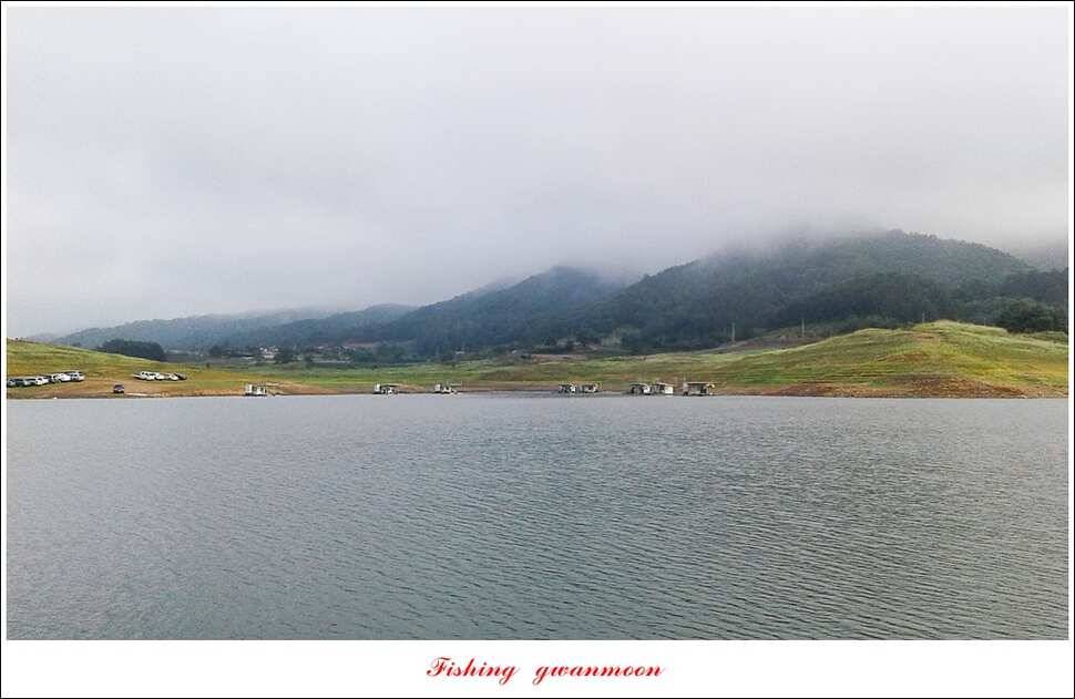 충주호 노지 39 cm돌감한버들 월척 조황 (조황조행기 - 특파원조황)