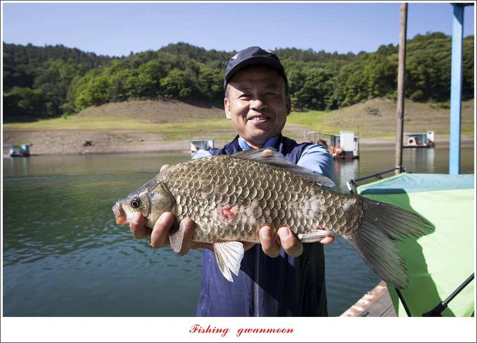 신매 낚시터 40 cm병호실리곡화곡지 조황 (조황조행기 - 특파원조황)