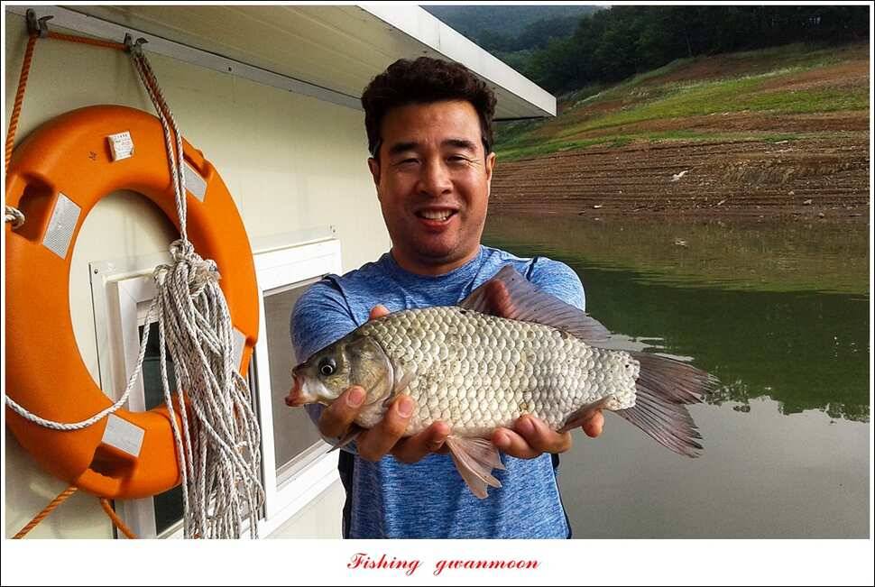충주호 노지 39 cm돌감한버들 월척 조황 (조황조행기 - 특파원조황)