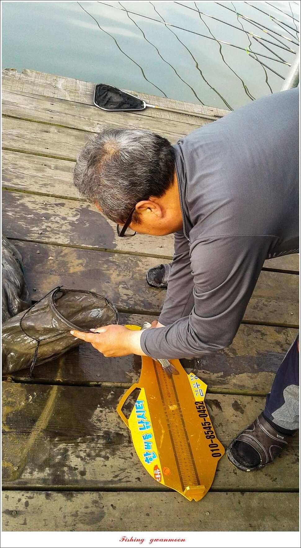 충주호 노지 39 cm돌감한버들 월척 조황 (조황조행기 - 특파원조황)