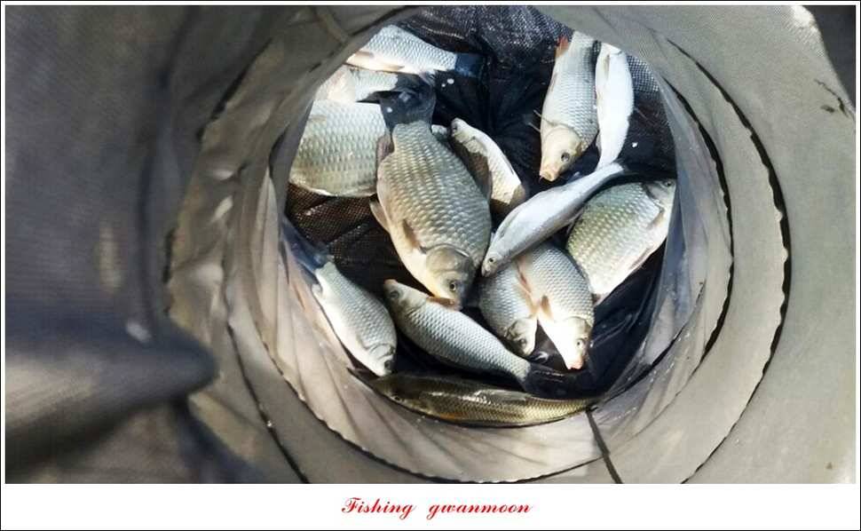 한버들실리곡 월척 행진저수지 사짜 (조황조행기 - 특파원조황)