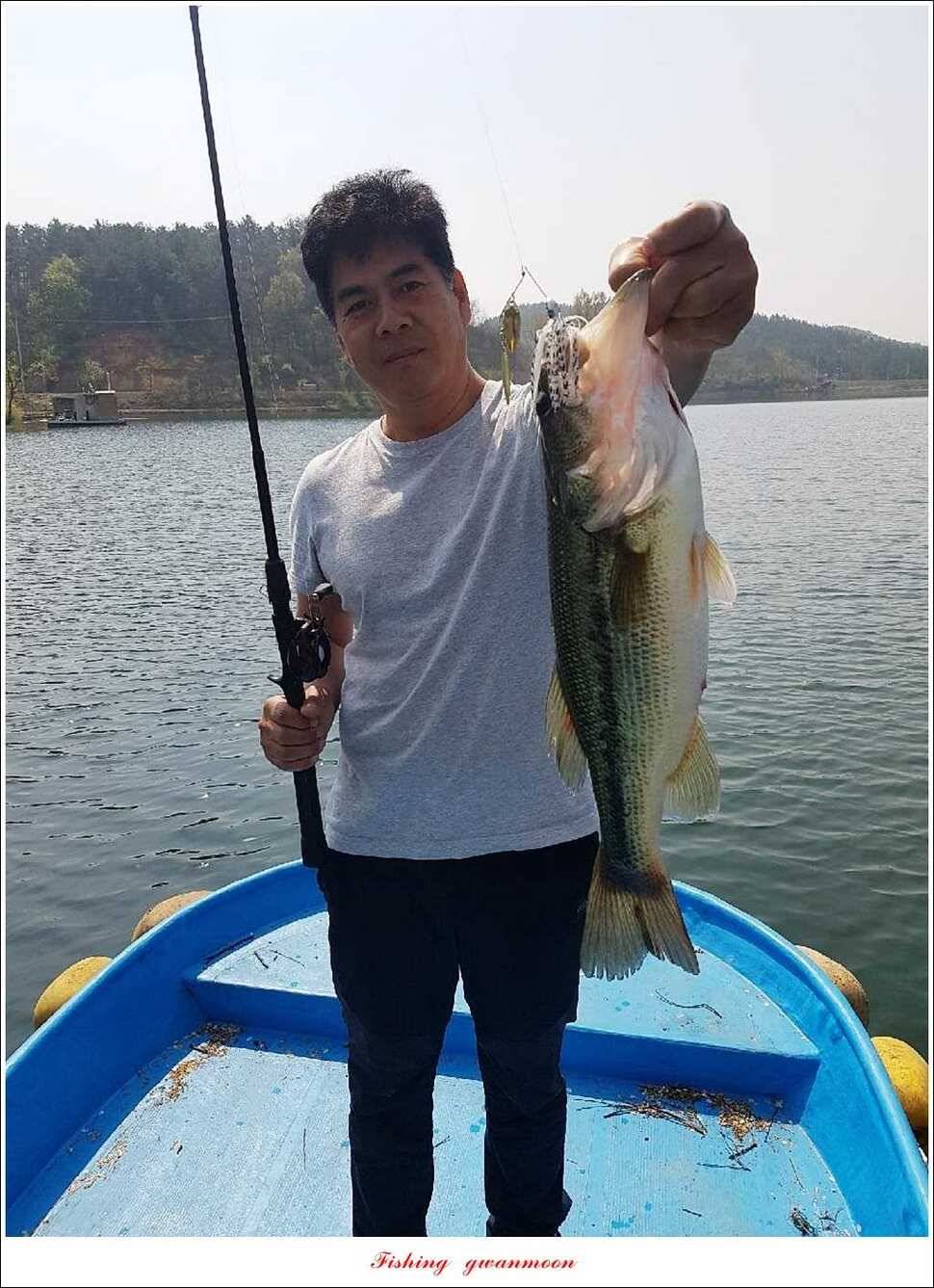 실리곡 38 cm 월척화곡지 월척 조황 (조황조행기 - 특파원조황)