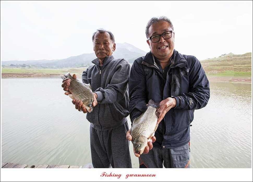 한버들 마릿수 월척 조황 (조황조행기 - 특파원조황)