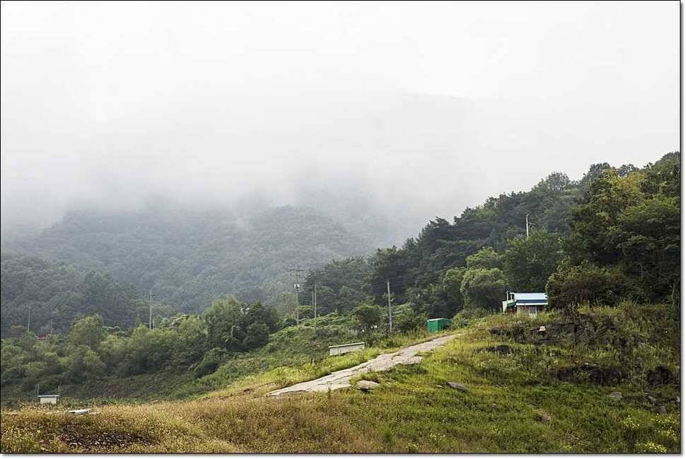 윤 사짜병호 월척 (조황조행기 - 특파원조황)