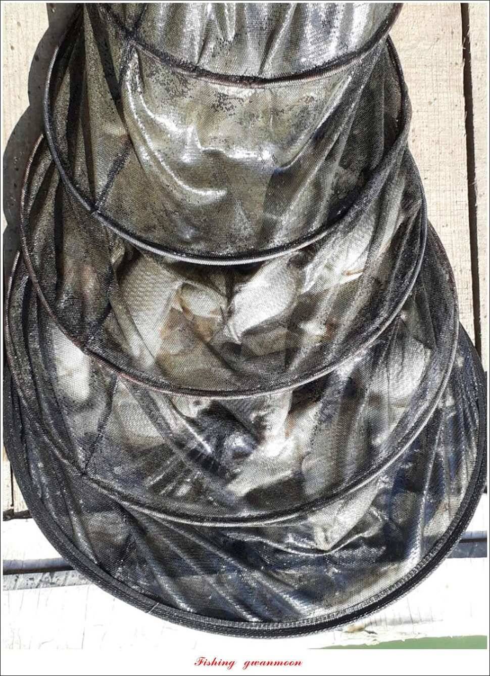 신매 낚시터 40 cm병호실리곡화곡지 조황 (조황조행기 - 특파원조황)