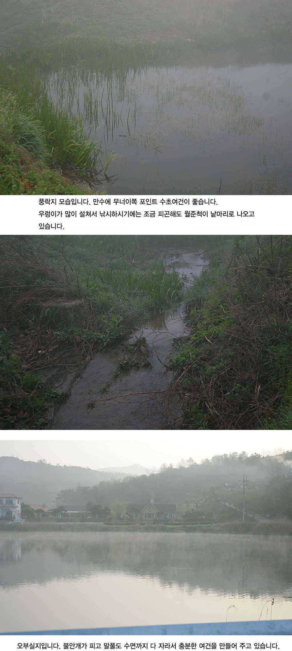 청도권 주말 및 오늘 조황정보 (조황조행기 - 특파원조황)