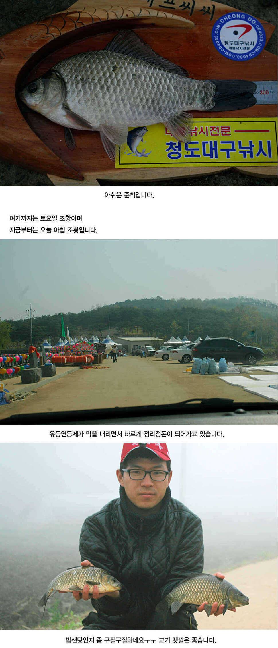 청도권 주말 및 오늘 조황정보 (조황조행기 - 특파원조황)