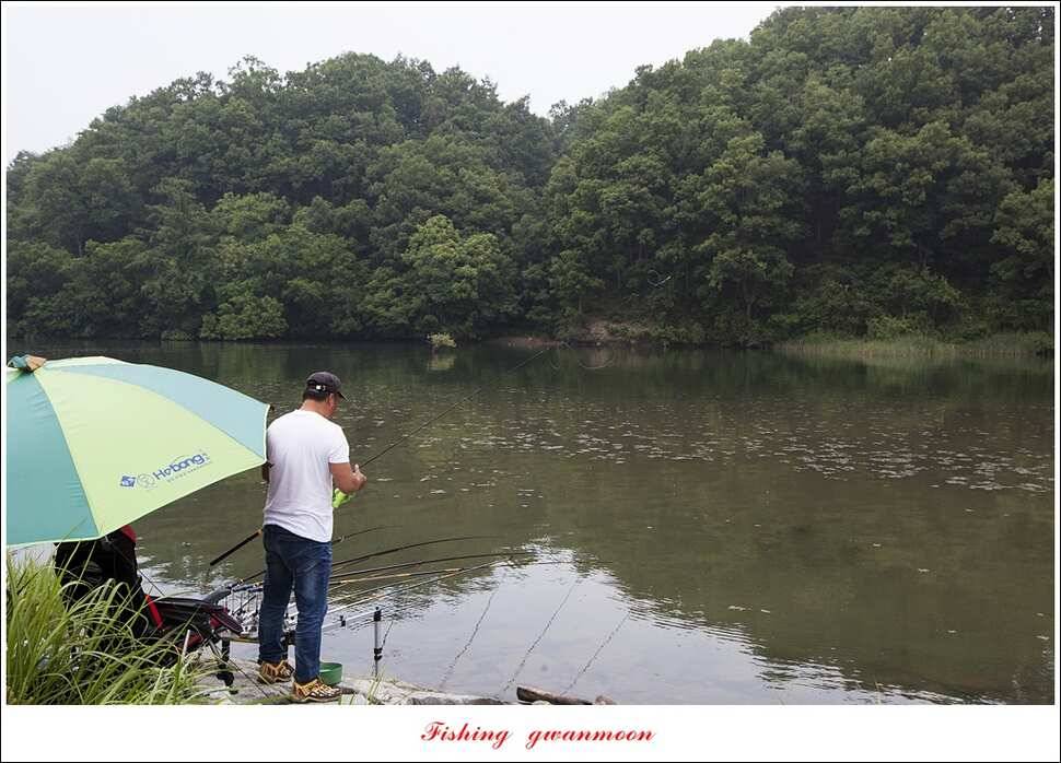 한버들 사짜돌감 월척탄금호 사짜 조황 (조황조행기 - 특파원조황)