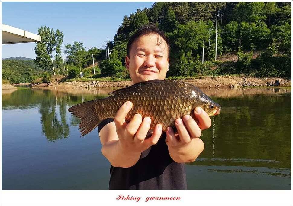신매 낚시터 40 cm병호실리곡화곡지 조황 (조황조행기 - 특파원조황)