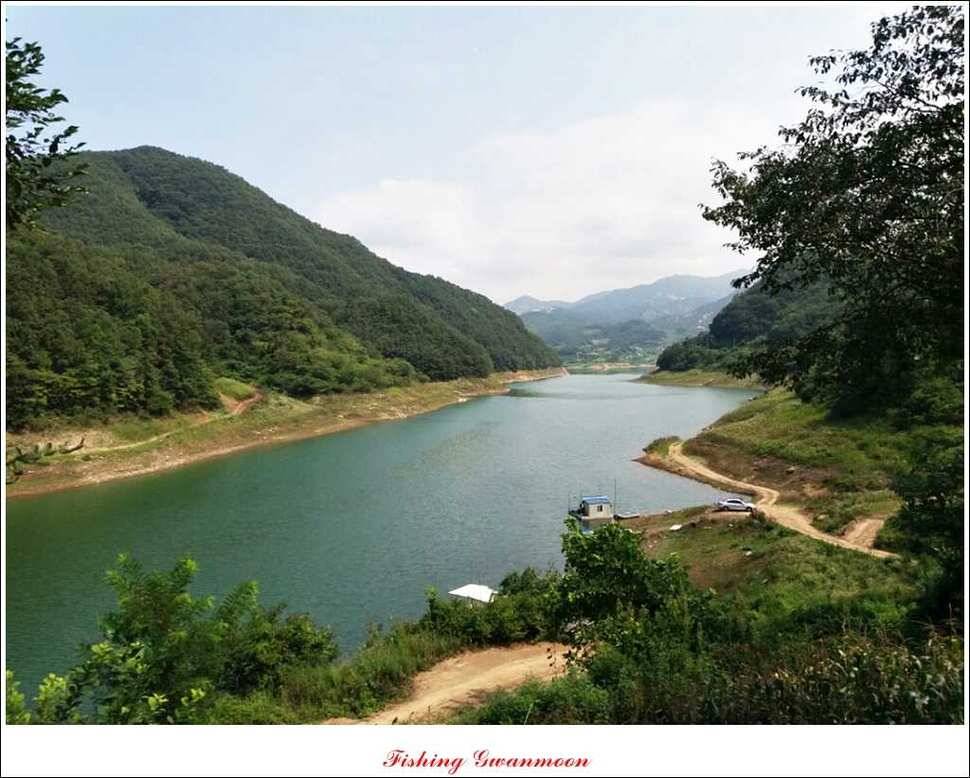 실리곡 월척한버들 마릿수 조황 (조황조행기 - 특파원조황)