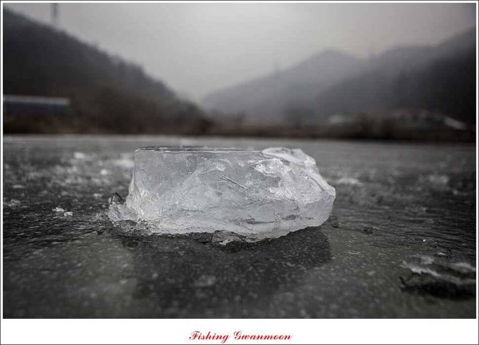 충주권 얼음 낚시 조황 (조황조행기 - 특파원조황)