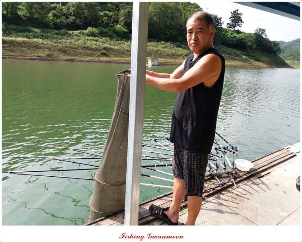실리곡 월척한버들 마릿수 조황 (조황조행기 - 특파원조황)