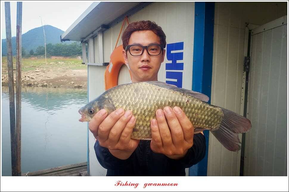 충주호칠성지 주말 조황 (조황조행기 - 특파원조황)