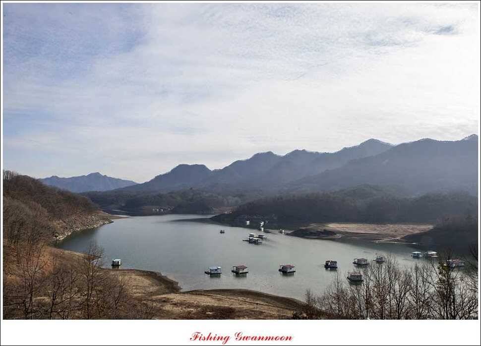 제일 낚시터 조황 (조황조행기 - 특파원조황)