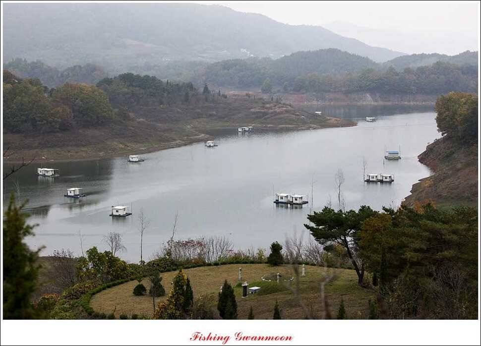 돌감한버들늘푸른 월척 조황 (조황조행기 - 특파원조황)