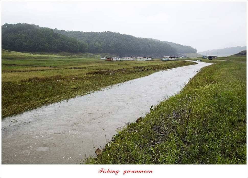 충주호 오름수위화곡지 월척 마릿수 조황 (조황조행기 - 특파원조황)