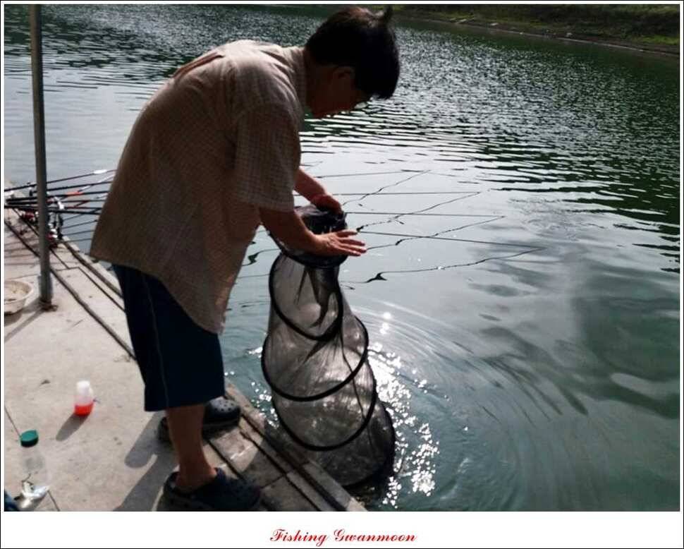 실리곡 월척한버들 마릿수 조황 (조황조행기 - 특파원조황)