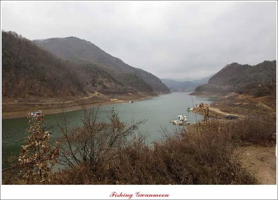 실리곡 짱가네 조황 (조황조행기 - 특파원조황)