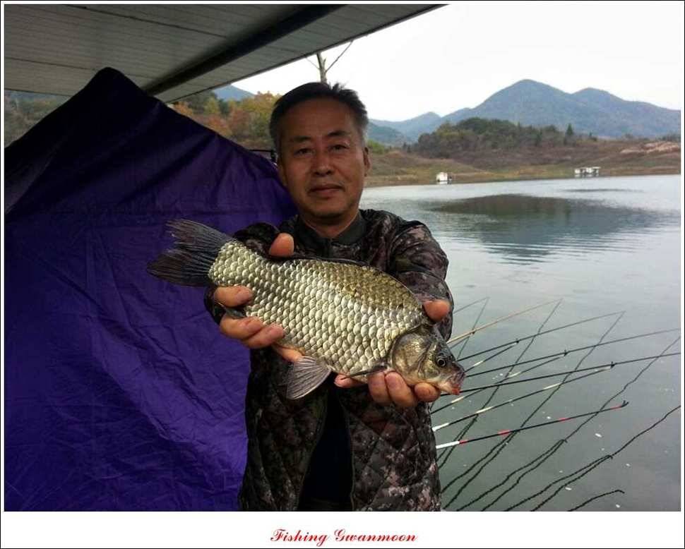 충주호 주말 조황 (조황조행기 - 특파원조황)