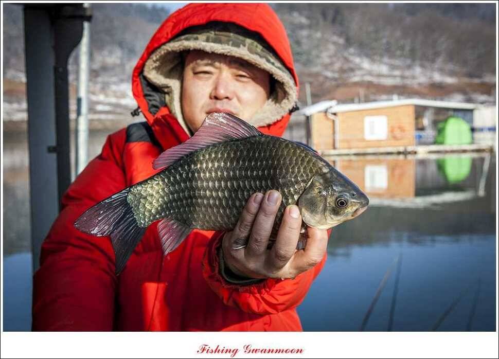 제일신매돌감실리곡한버들 월척 (조황조행기 - 특파원조황)