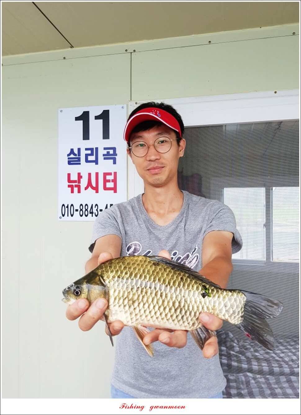 추평지 48 cm화곡지 마릿수 월척실리곡 조황 (조황조행기 - 특파원조황)