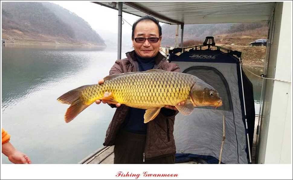 실리곡 짱가네 조황 (조황조행기 - 특파원조황)