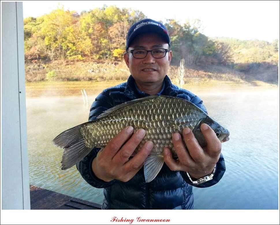 충주호 주말 조황 (조황조행기 - 특파원조황)