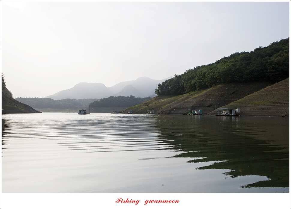 충주호칠성지 주말 조황 (조황조행기 - 특파원조황)