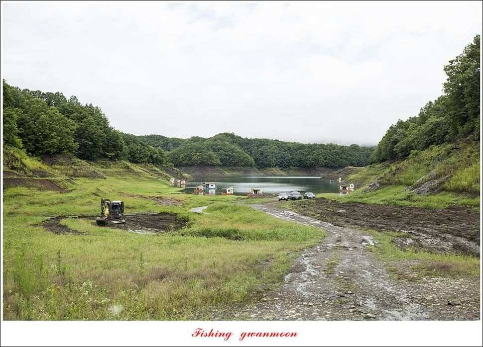 충주호 오름수위화곡지 월척 마릿수 조황 (조황조행기 - 특파원조황)