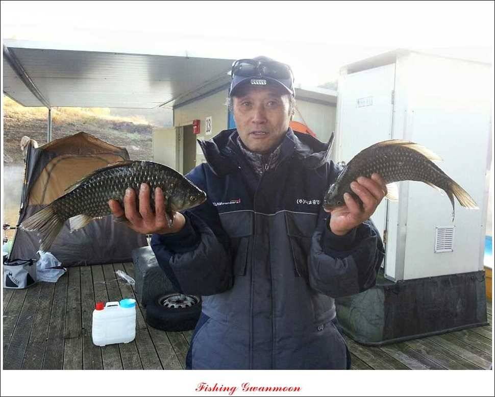 충주호 주말 조황 (조황조행기 - 특파원조황)
