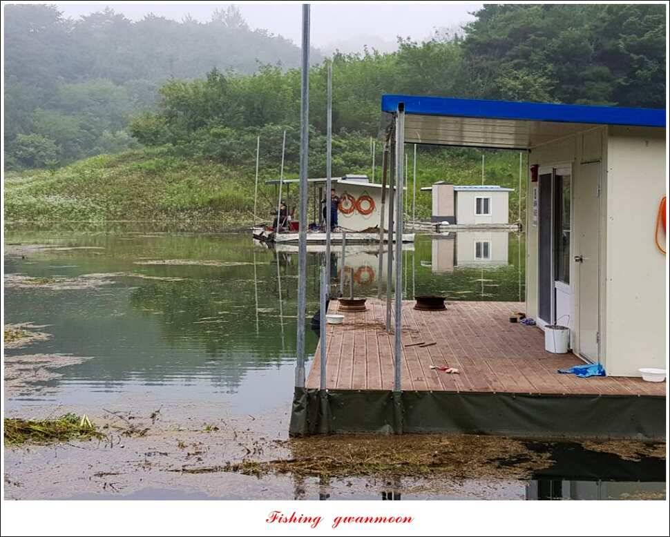 실리곡 마릿수 월척매전지 월척 조황 (조황조행기 - 특파원조황)