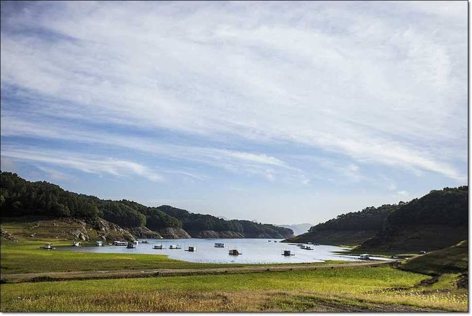 한버들 42 cm병호 385 cm늘푸른 키로장어 (조황조행기 - 특파원조황)