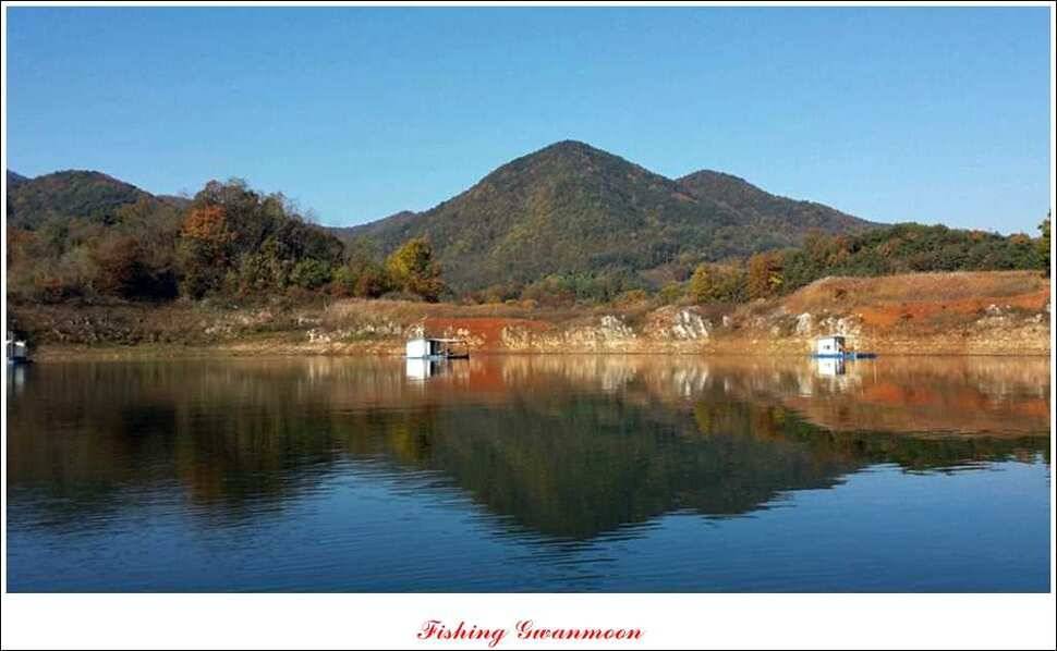 충주호 주말 조황 (조황조행기 - 특파원조황)
