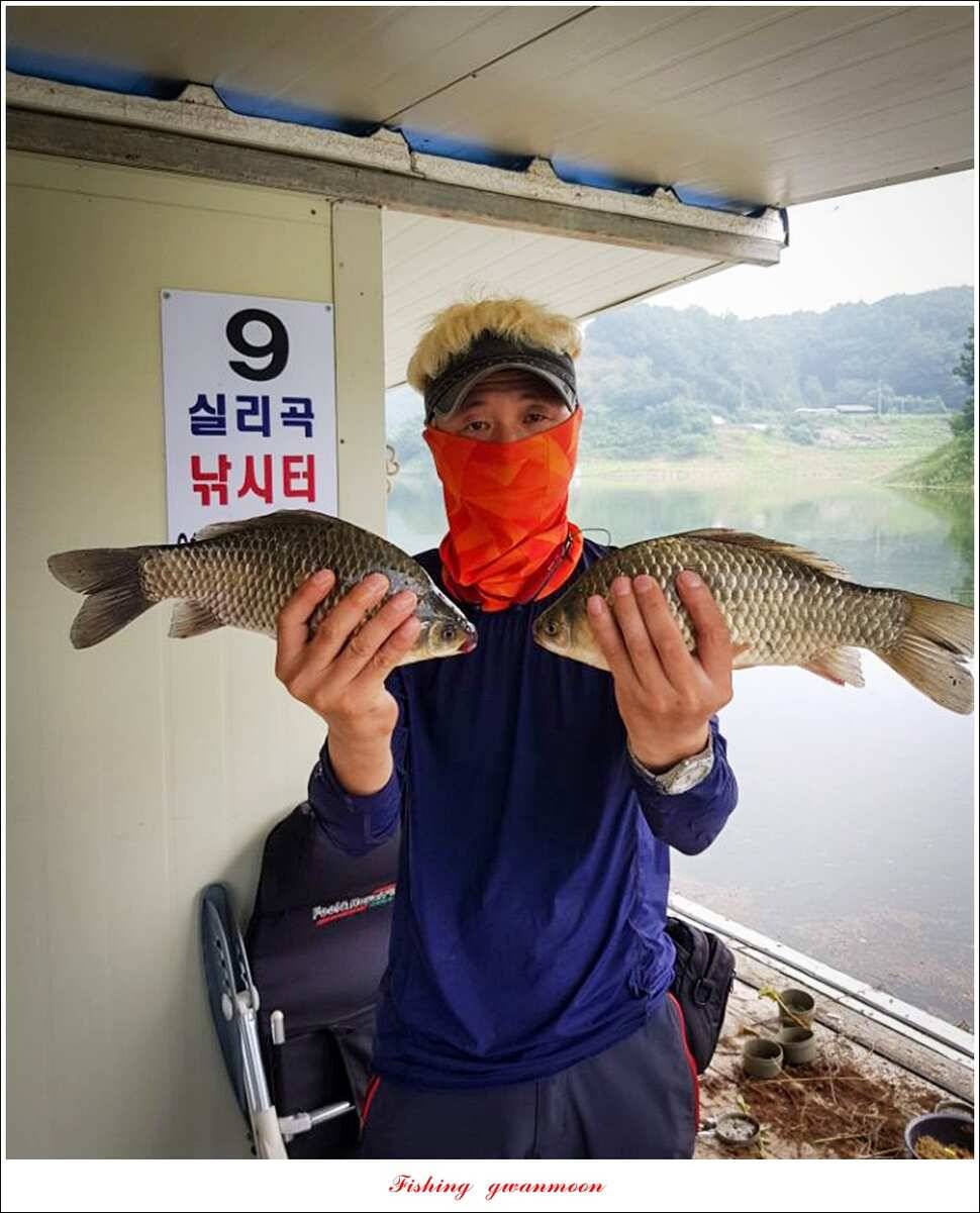 실리곡 마릿수 월척매전지 월척 조황 (조황조행기 - 특파원조황)