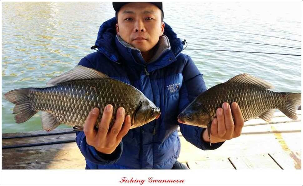 충주호 주말 조황 (조황조행기 - 특파원조황)