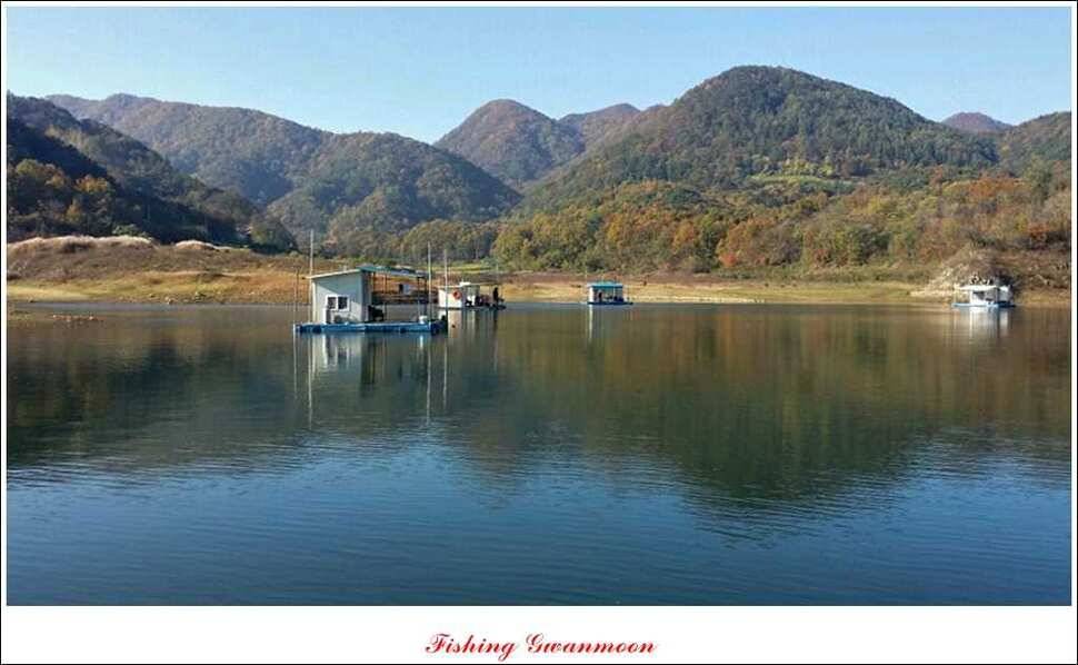 충주호 주말 조황 (조황조행기 - 특파원조황)