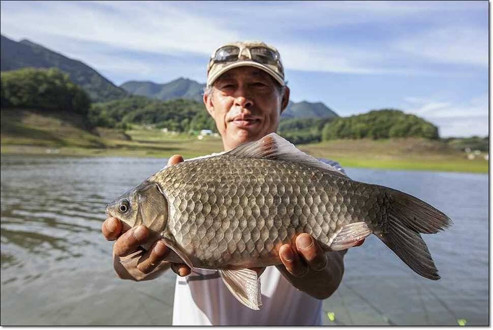 한버들 42 cm병호 385 cm늘푸른 키로장어 (조황조행기 - 특파원조황)