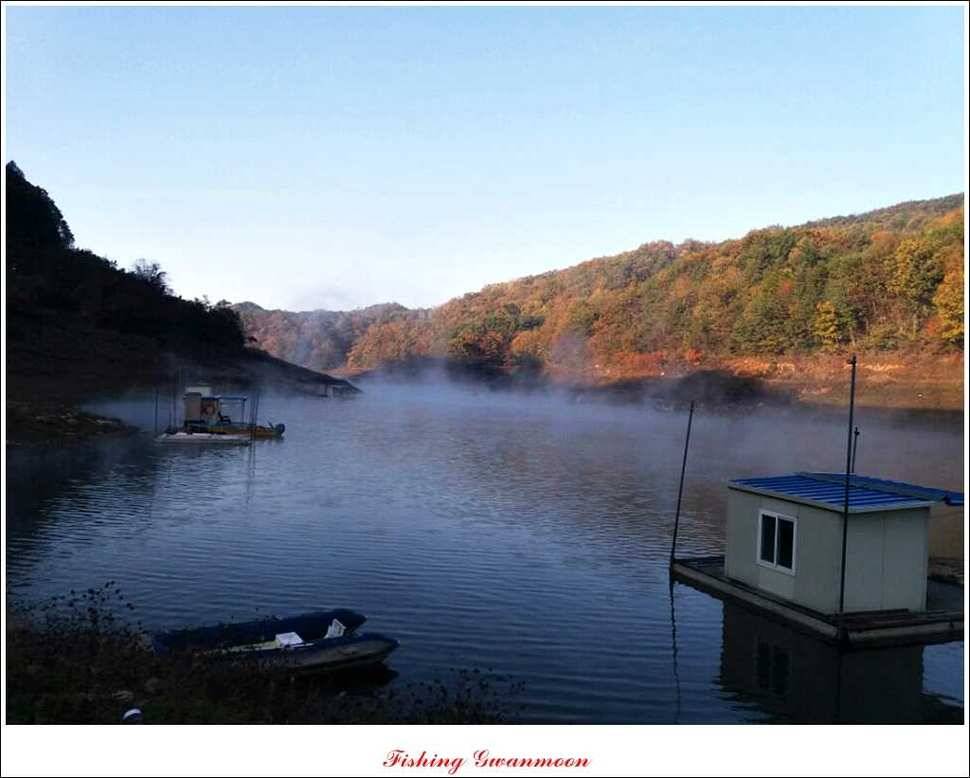 충주호 주말 조황 (조황조행기 - 특파원조황)