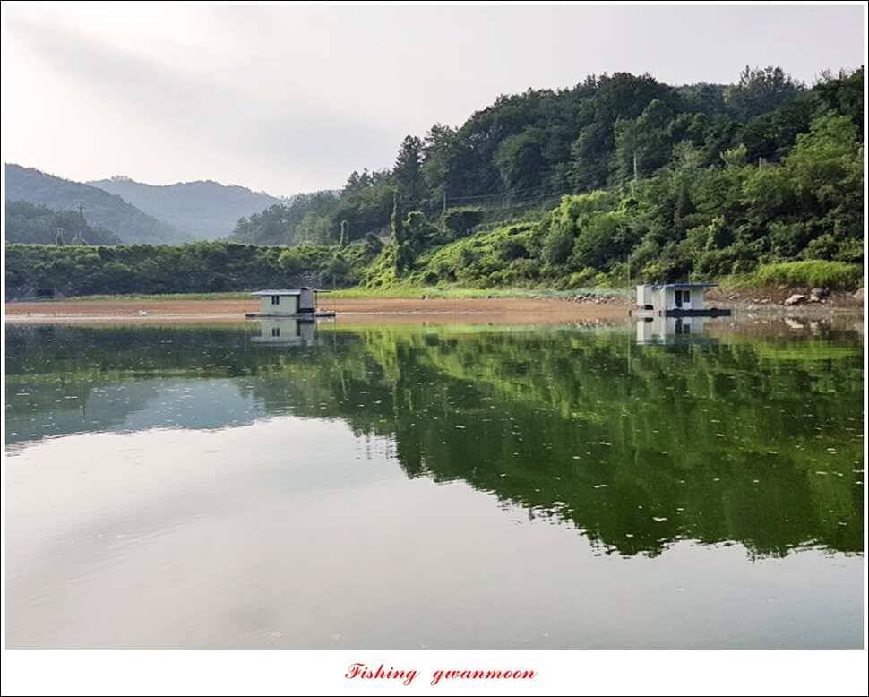 실리곡화곡지기타 조황 소식 (조황조행기 - 특파원조황)