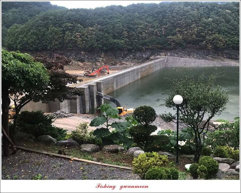 충주호 오름수위화곡지 월척 마릿수 조황 (조황조행기 - 특파원조황)