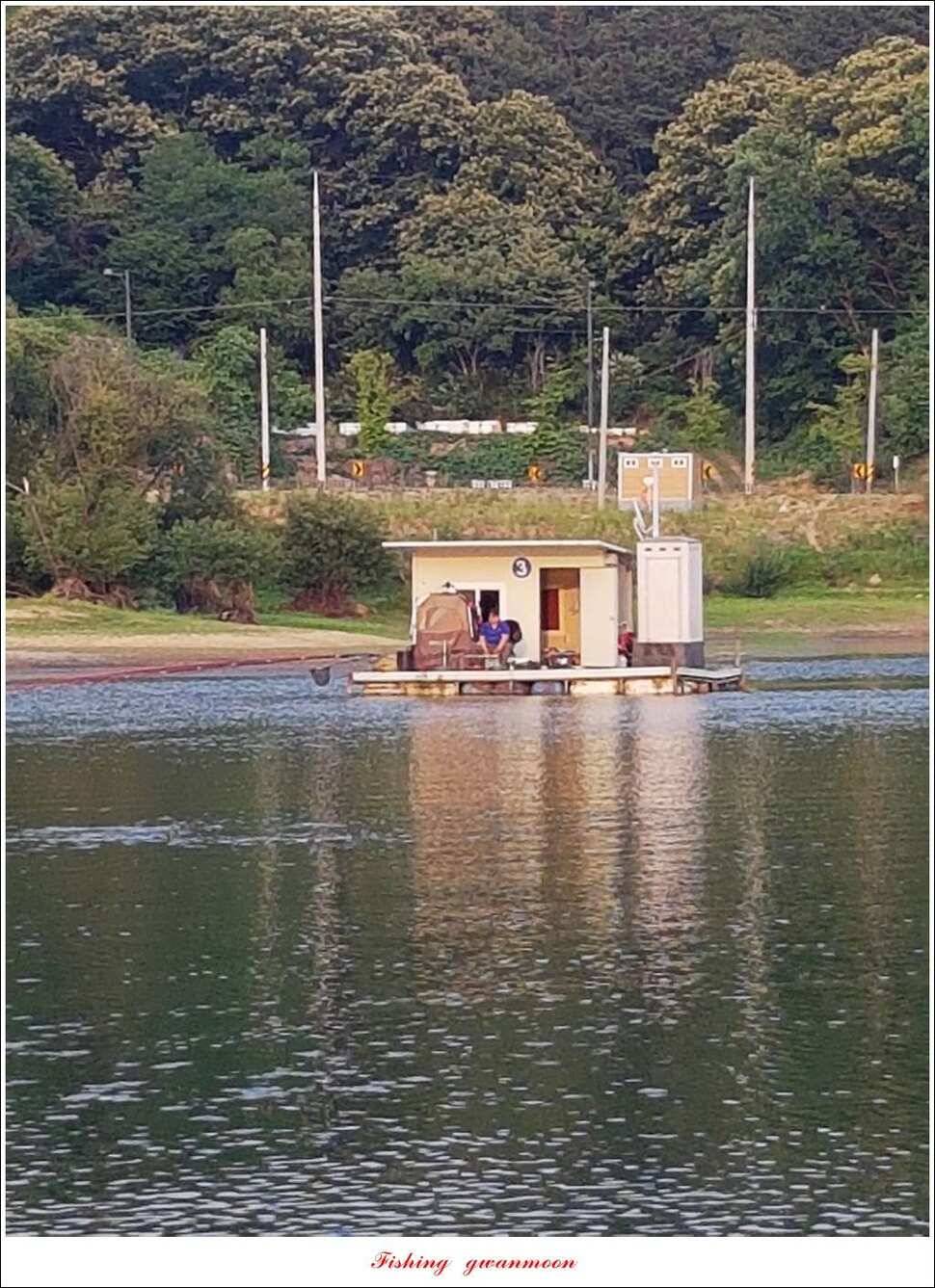 충주호 오름수위화곡지 월척 마릿수 조황 (조황조행기 - 특파원조황)