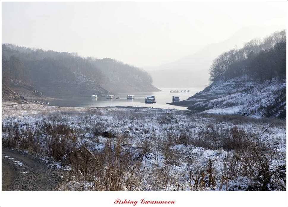 제일신매돌감실리곡한버들 월척 (조황조행기 - 특파원조황)