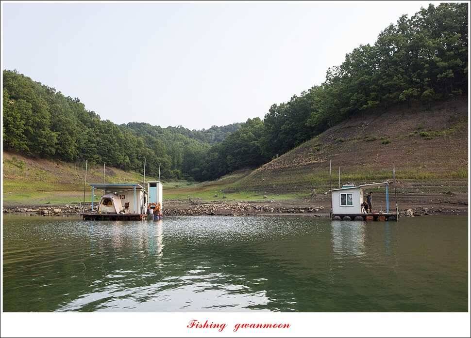 충주호칠성지 주말 조황 (조황조행기 - 특파원조황)