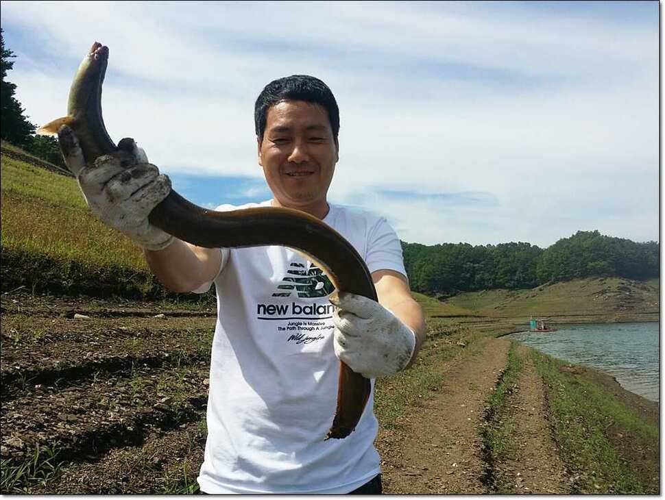 한버들 42 cm병호 385 cm늘푸른 키로장어 (조황조행기 - 특파원조황)