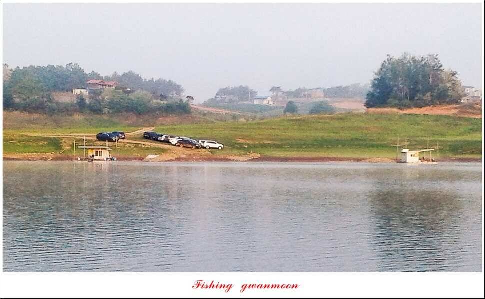 한버들 월척화곡지 마릿수 월척 조황 (조황조행기 - 특파원조황)