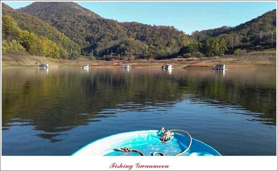 충주호 주말 조황 (조황조행기 - 특파원조황)