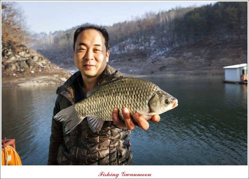 제일신매돌감실리곡한버들 월척 (조황조행기 - 특파원조황)
